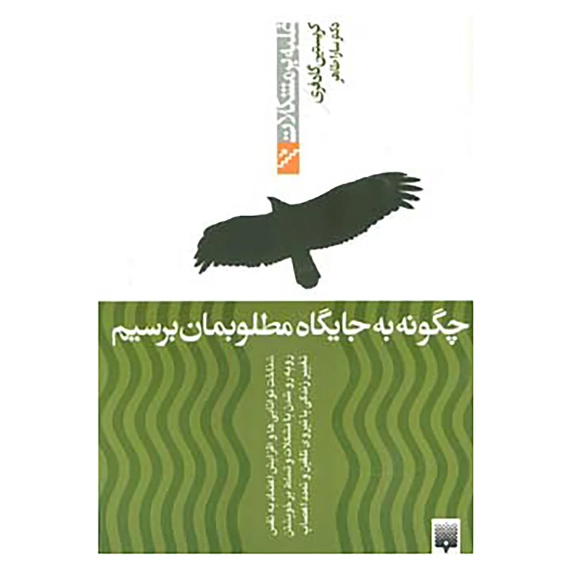 کتاب غلبه بر مشکلات اثر کریستین گادفری