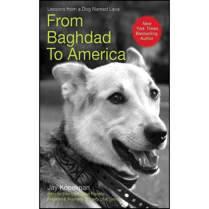کتاب From Baghdad to America اثر Jay Kopelman انتشارات Skyhorse