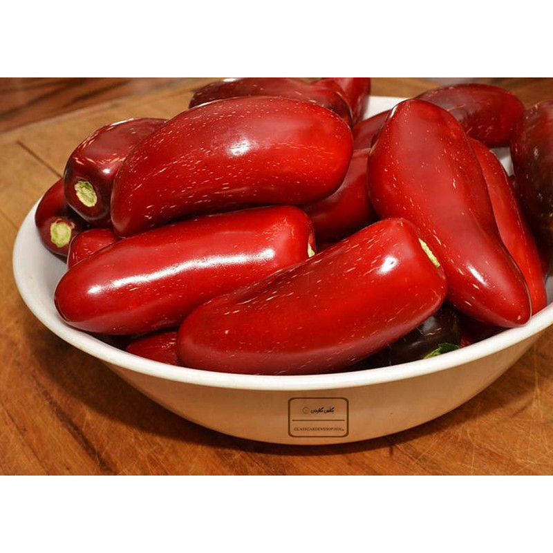 بذر فلفل هالوپینو سبز و قرمز جلاپینو مدل GL10 بذر فلفل هالوپینو سبز و قرمز جلاپینو مدل GL10