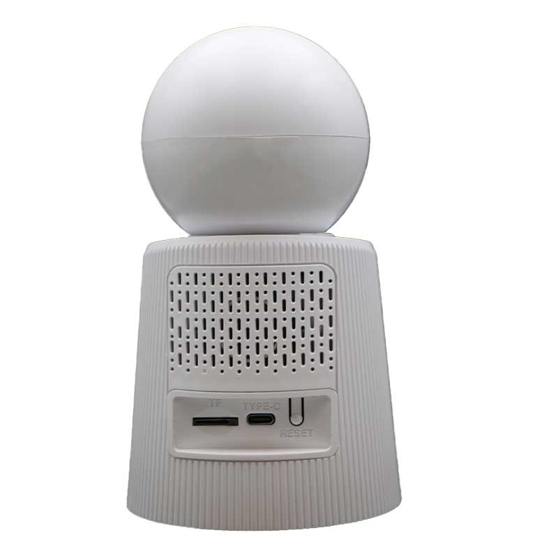 دوربین مداربسته تحت شبکه رایمون مدل RW300