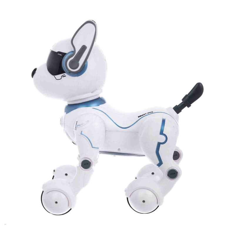 ربات کنترلی مدل لیدی کد 2022