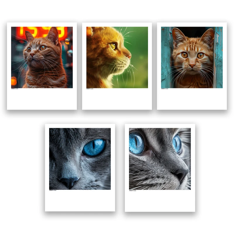 آویز تزیینی عرش مدل فانتزی گربه کد Asa829 مجموعه پنج عددی