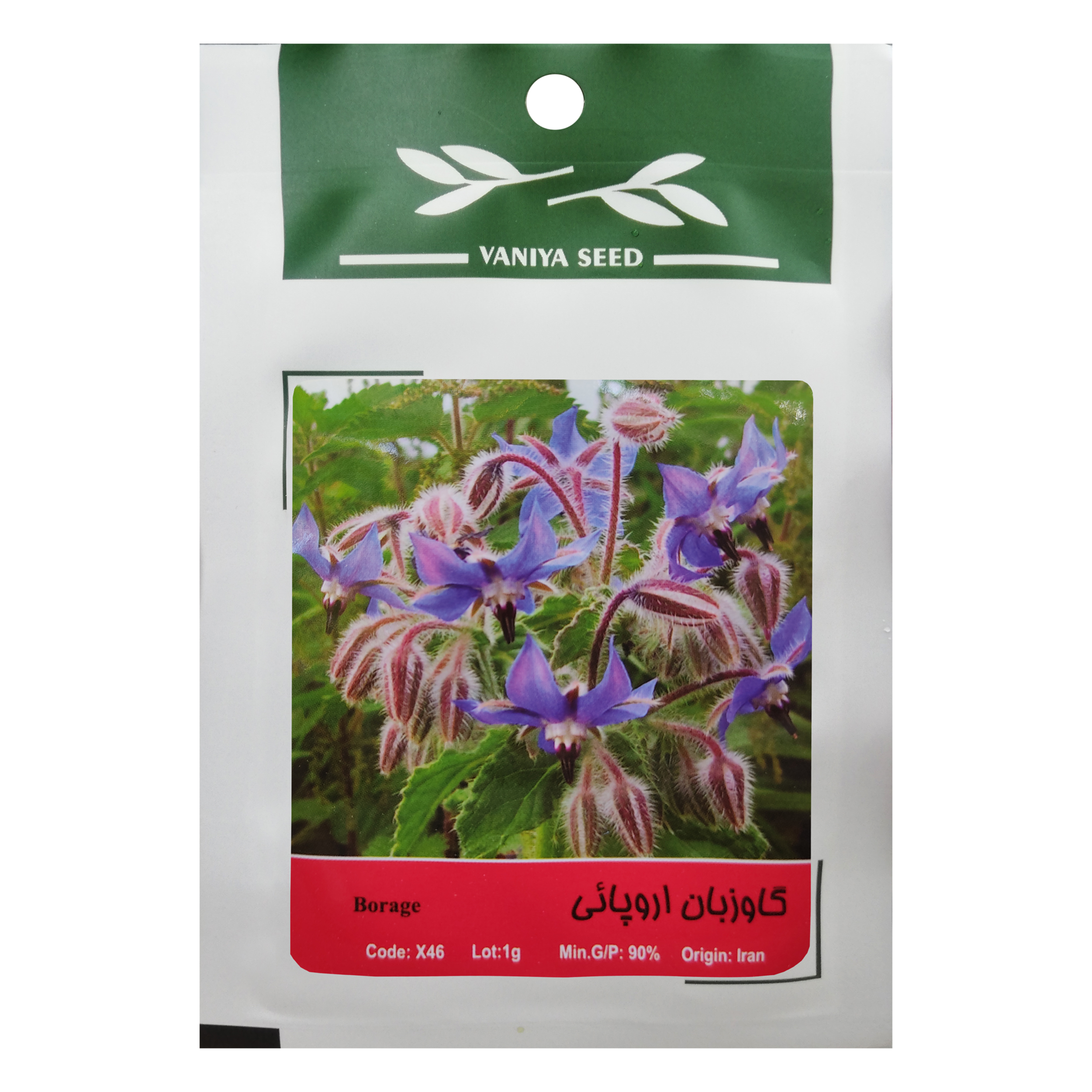 بذر گاوزبان اروپائی وانیا سید مدل X46