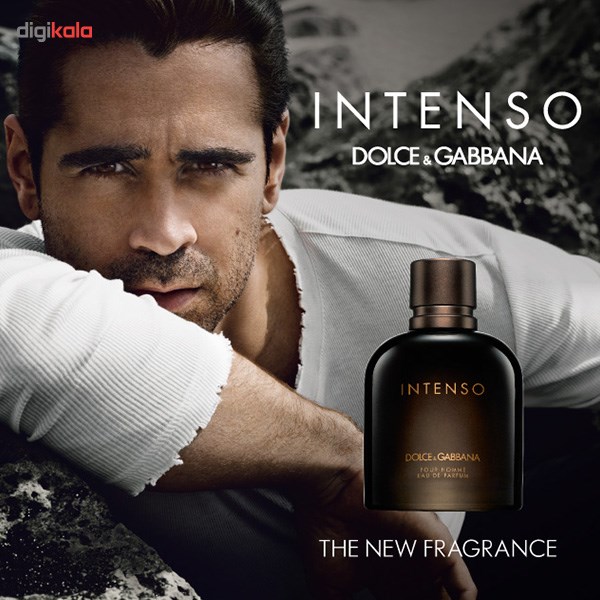 intenso dolce and gabbana 75ml price