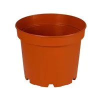 گلدان مدل پاچیرا سایز ۱۲ سانتی متر بسته ۶ عددی