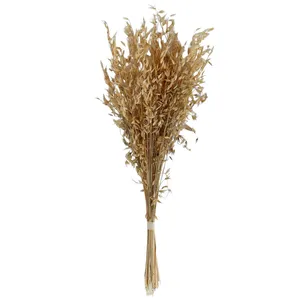 گل خشک مدل جو دو سر بزرگ