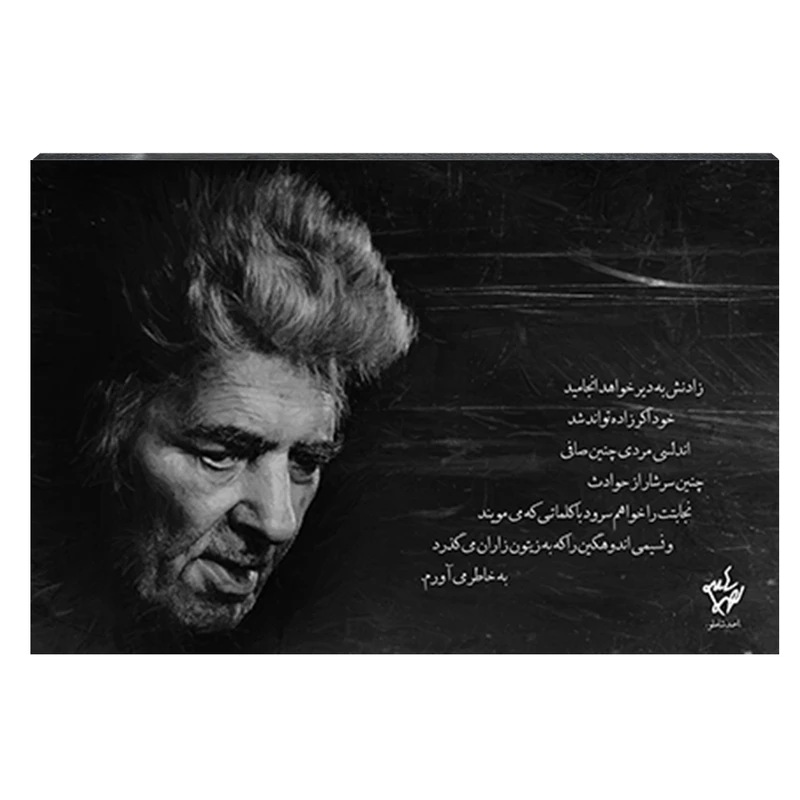 تابلو شاسی طرح احمد شاملو کد 4G220