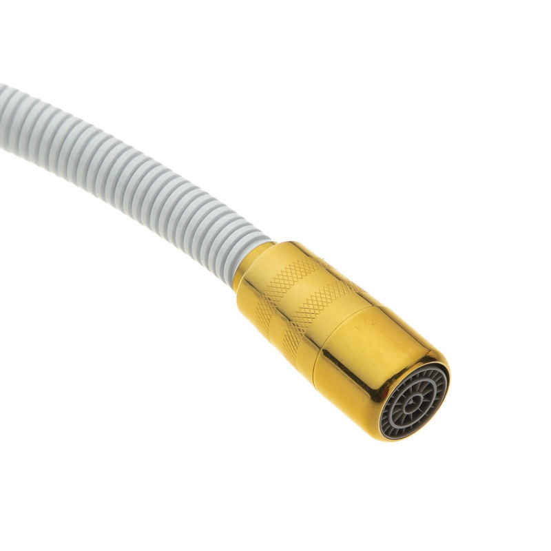 شلنگ توالت رایکا مدل Gold2022