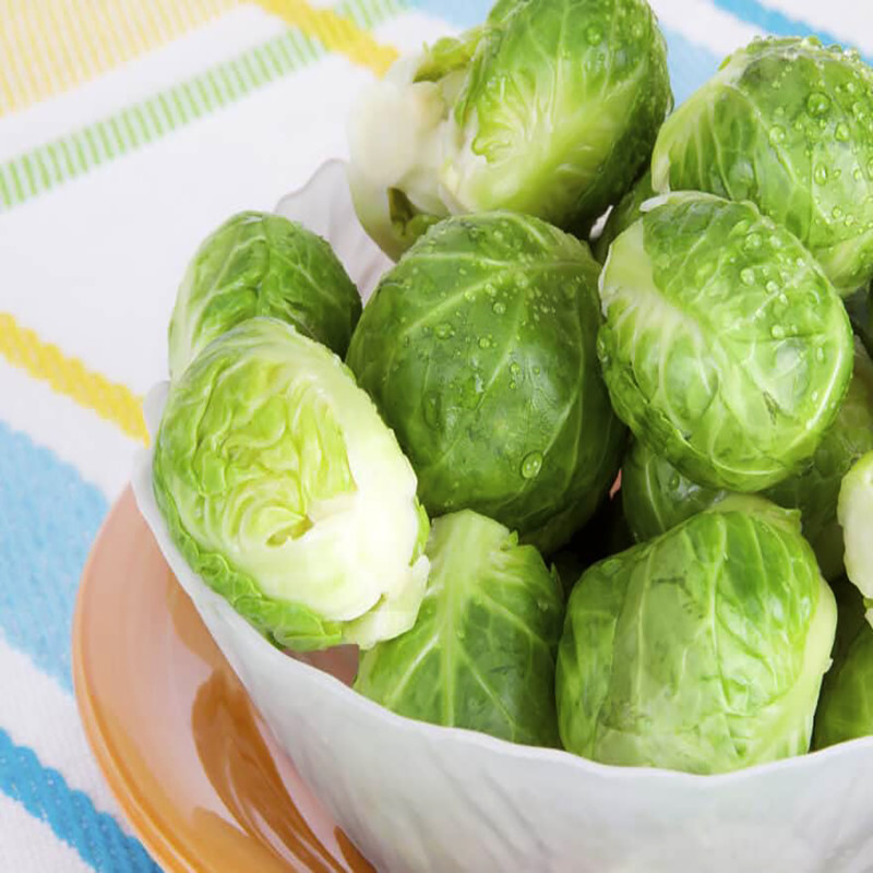 بذر کلم بروکسل وانیا سید مدل I20 بذر کلم بروکسل وانیا سید مدل I20