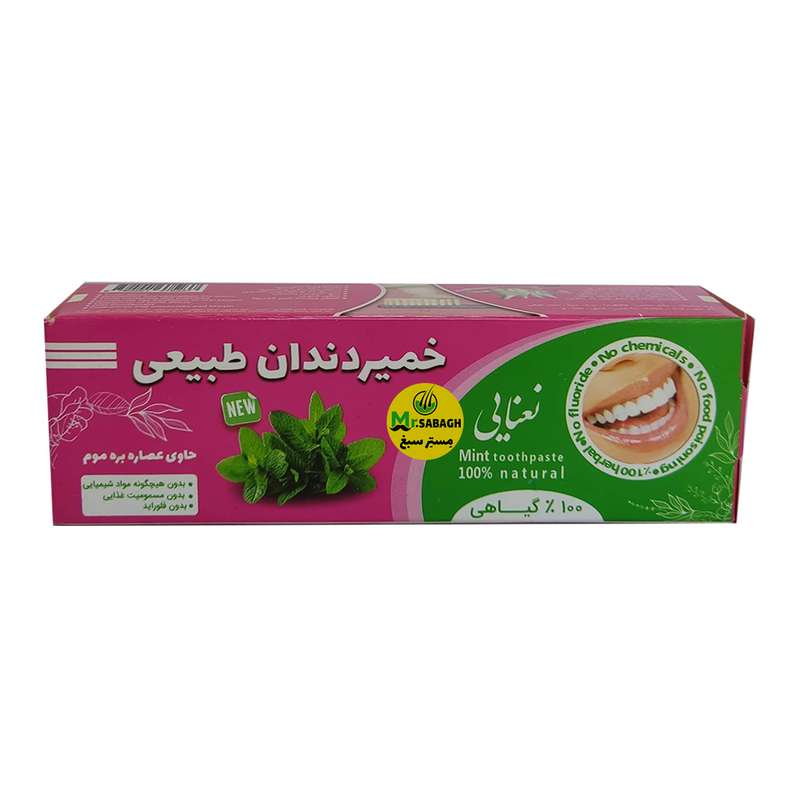خمیر دندان مستر سبغ مدل نعنائی وزن 30 گرم خمیر دندان مستر سبغ مدل نعنائی وزن 30 گرم