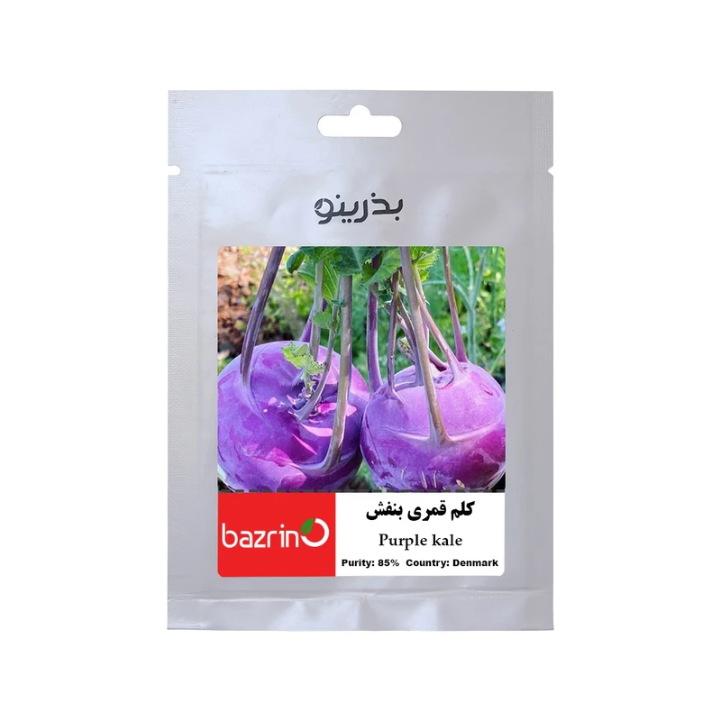 بذر کلم قمری بنفش بذرینو کد BZNO-215