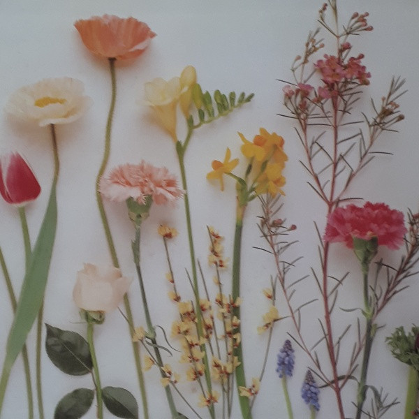 كتاب Flower Arranging اثر Jane Newdick انتشارات CLB كتاب Flower Arranging اثر Jane Newdick انتشارات CLB