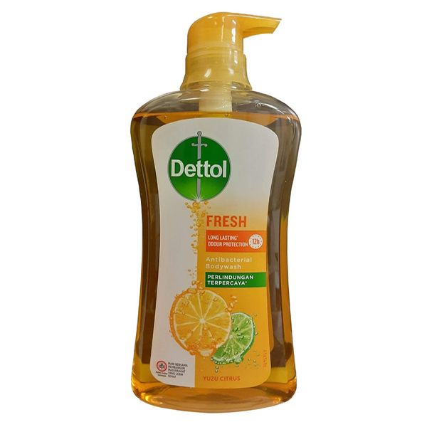 شامپو بدن دتول مدل fresh حجم 625 میلی لیتر شامپو بدن دتول مدل fresh حجم 625 میلی لیتر