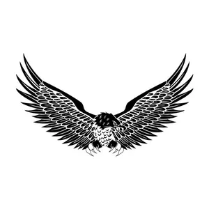 برچسپ بدنه خودرو طرح چنگ عقاب