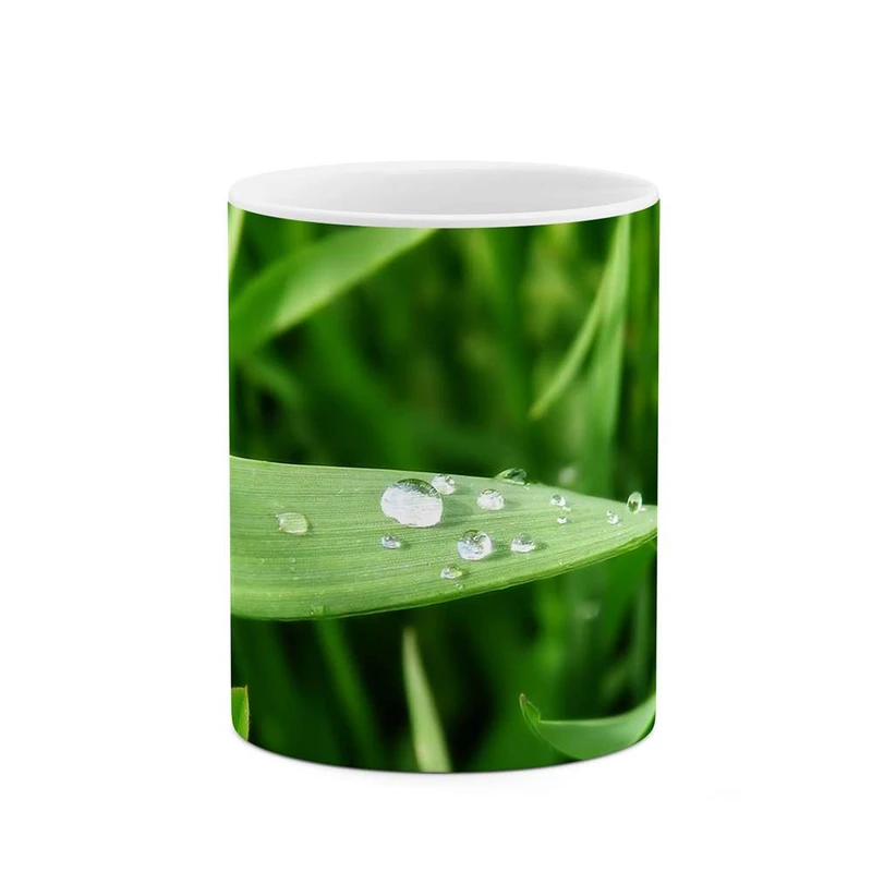 ماگ کاکتی مدل شبنم کد mgh12230