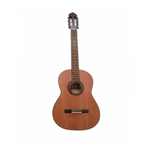 Royal GR_100 Classical Guitar