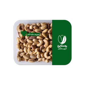 آجیل مخلوط شور نمک دریایی روستایی - 500 گرم