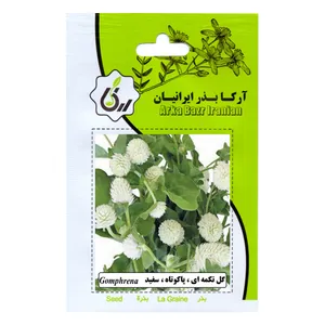 بذر گل تکمه ای پا کوتاه سفید آرکا بذر ایرانیان مدل C90