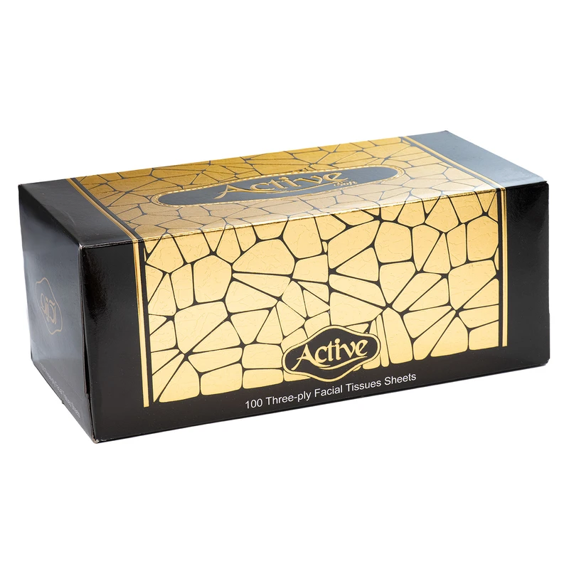 دستمال کاغذی 100 برگ اکتیو مدل 001