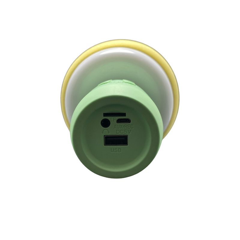 میکروفون اسپیکر وستر مدل WS-910