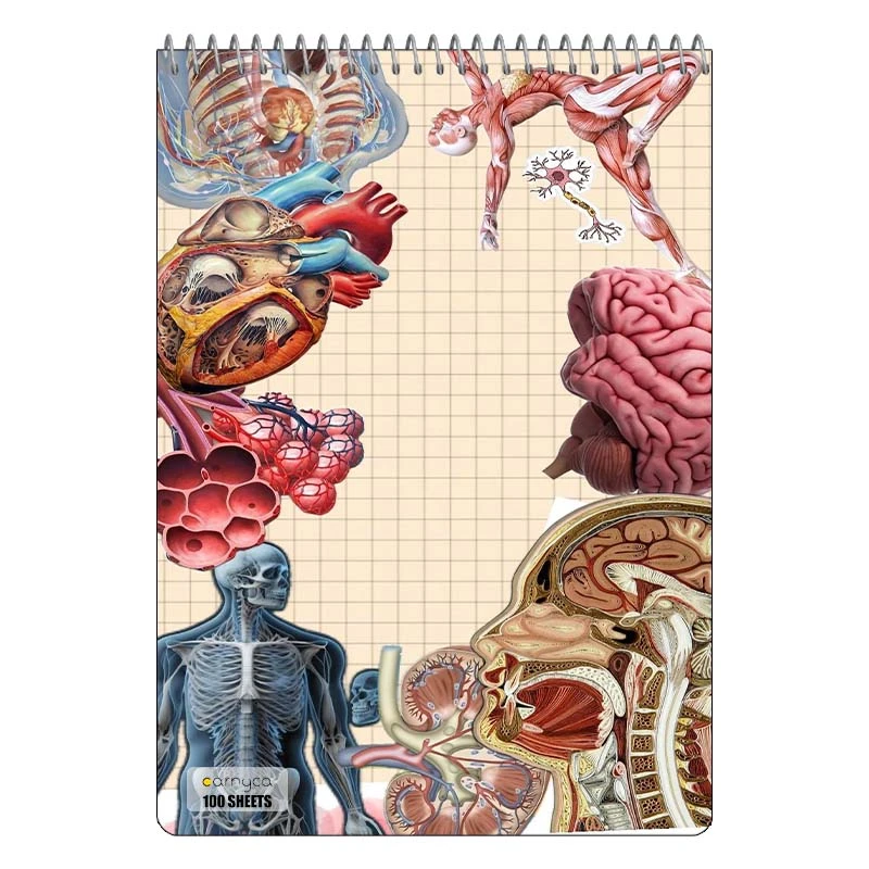 دفتر شطرنجی 100 برگ کارنیکا طرح زیست شناسی Biology کد 55958