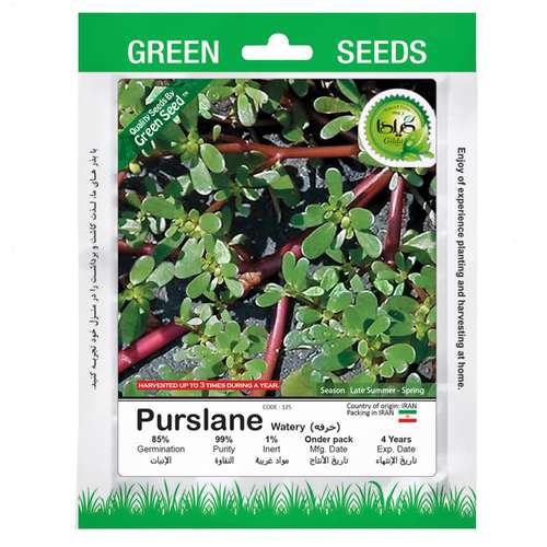 بذر خرفه گیلدا کد 125