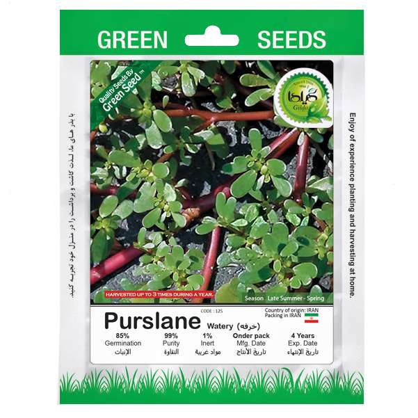 بذر خرفه گیلدا کد 125 بذر خرفه گیلدا کد 125