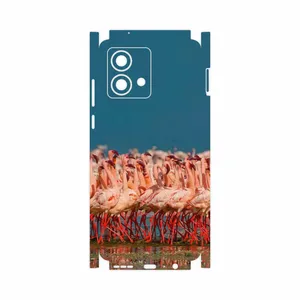 MAHOOT Flamingo-FullSkin Cover Sticker for Motorola Moto G84