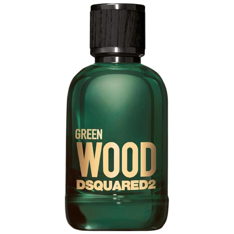 ادو تویلت مردانه دیسکوارد مدل Green Wood حجم 100 میلی لیتر