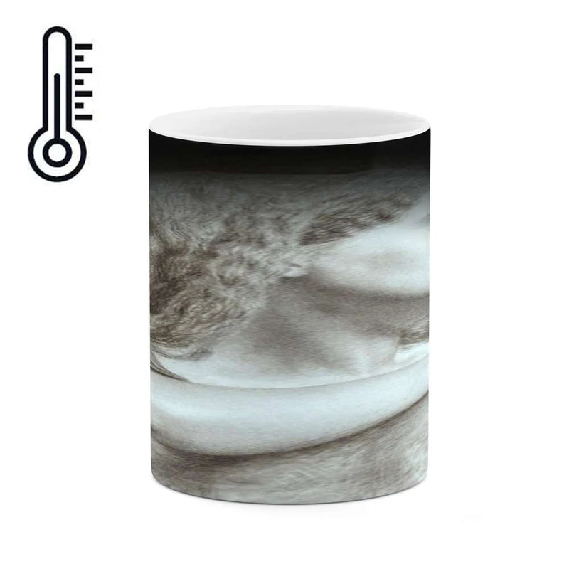 ماگ حرارتی کاکتی مدل نقاشی کد mgh13798