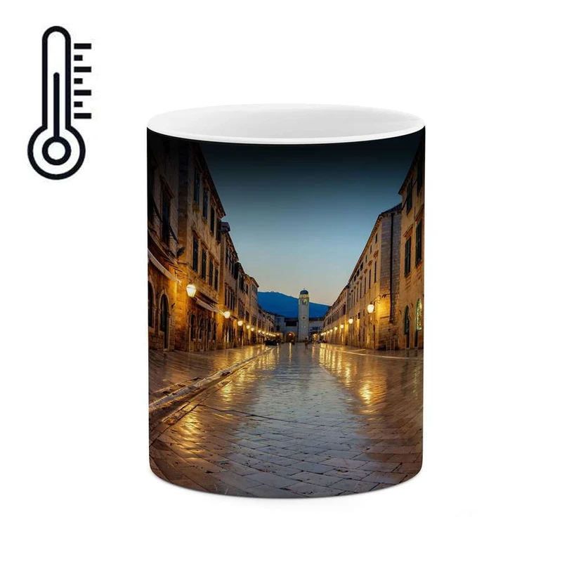 ماگ حرارتی کاکتی مدل شهر کد mgh15730