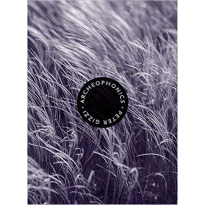 کتاب Archeophonics اثر Peter Gizzi انتشارات Wesleyan University Press
