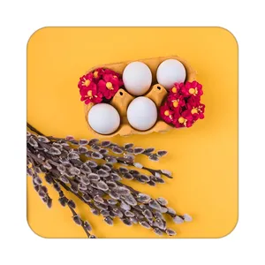 زیر لیوانی کاکتی طرح گل مدل mp19686