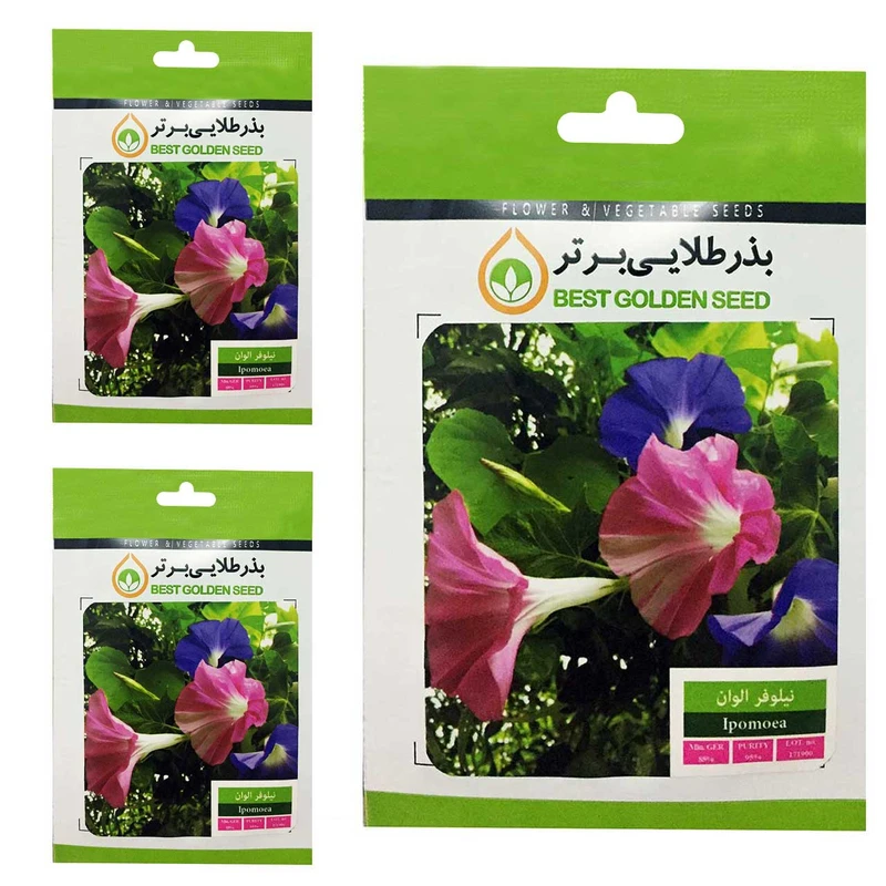 بذر گل نیلوفر الوان بذر طلایی برتر کد BTB-37 مجموعه 3 عددی