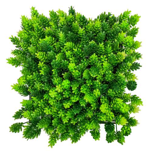   چمن مصنوعی مدل کاج کد mm127 سایز 24×24 سانتی متر