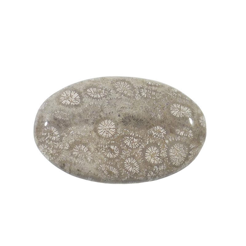 سنگ فسیل مرجان کد TG6523