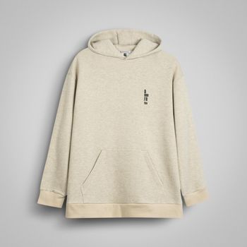 هودی مردانه هالیدی مدل D14744