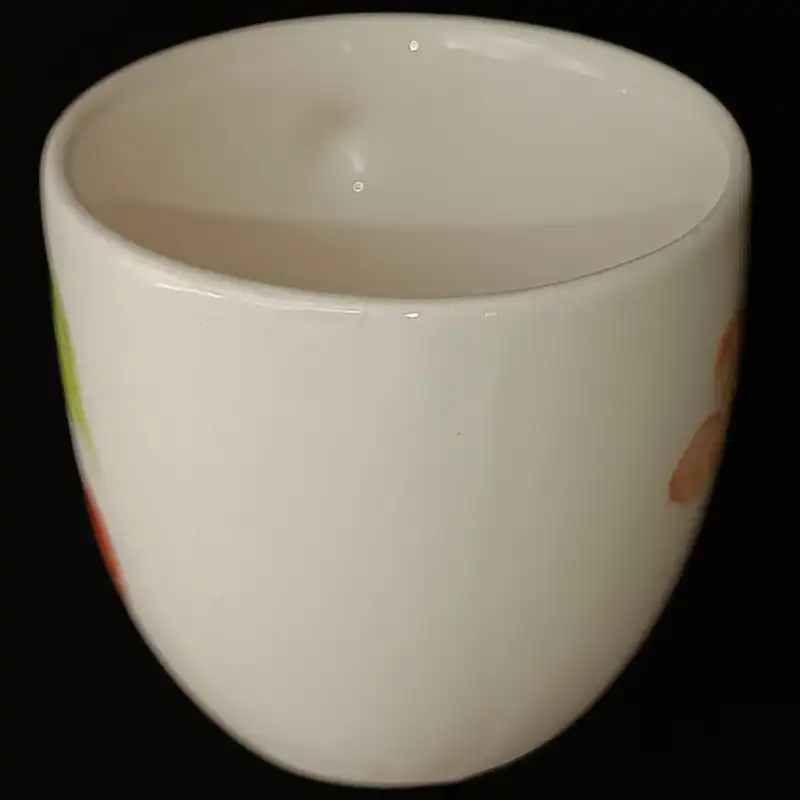 ست فنجان و نعلبکی سرامیکی هیوا مدل شکوفه گیلاس کد 10882321