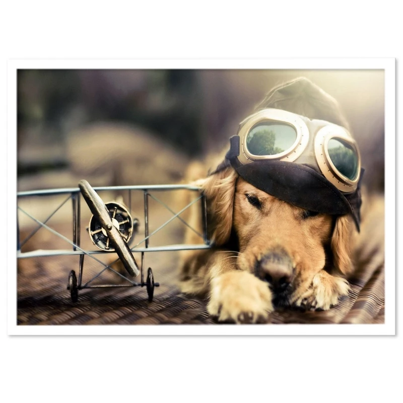 تابلو بکلیت طرح عینک خلبانی مدل W-14784