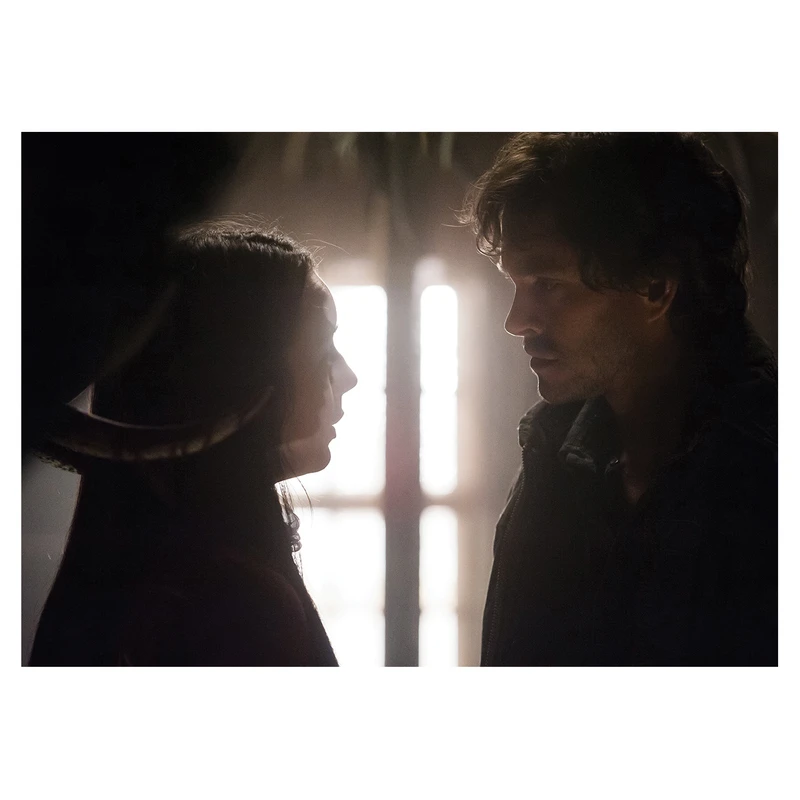 پوستر طرح هانیبال کد 1327 -Hannibal