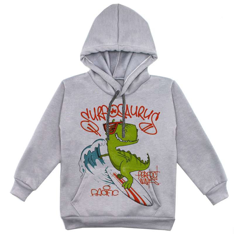 هودی پسرانه مدل دانیاسور موج سوار F219 رنگ طوسی