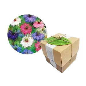 مجموعه کاشت گلدونه گل سیاه دانه زینتی پر پر الوان