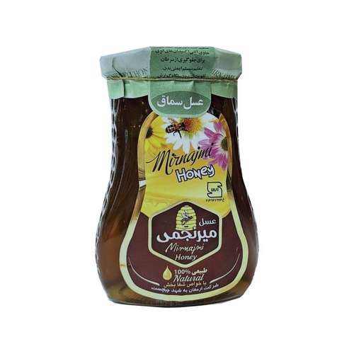 عسل سماق میرنجمی - 500 گرم