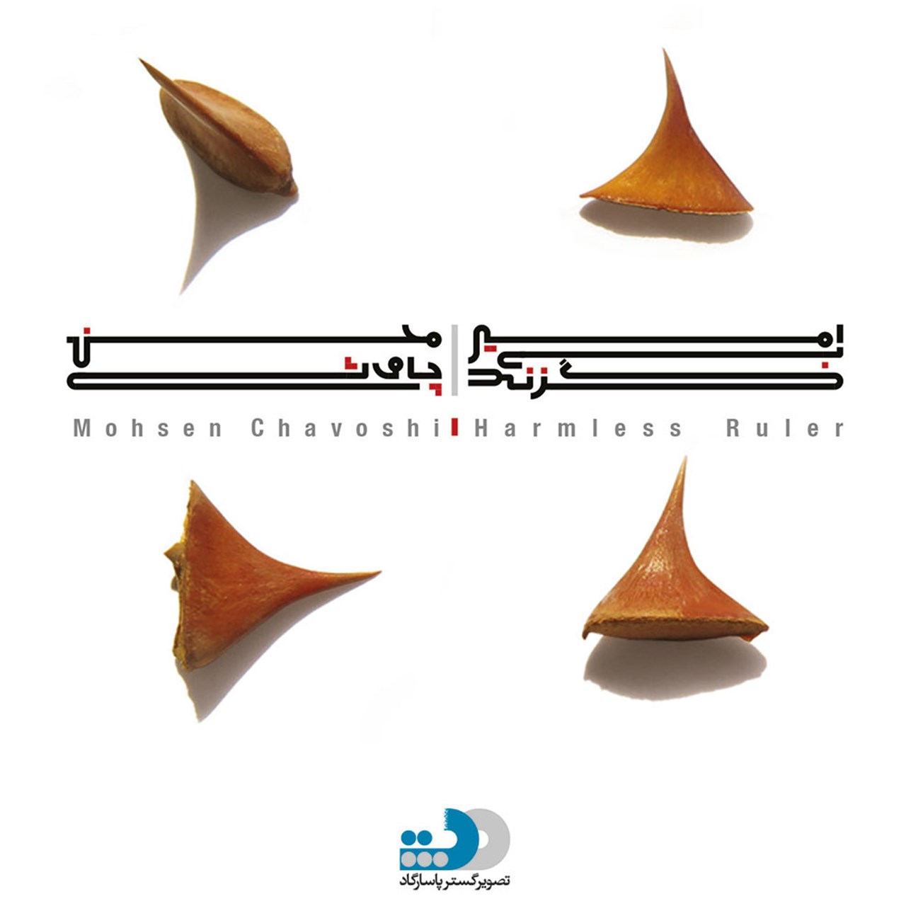آلبوم موسیقی امیر بی‌ گزند اثر محسن چاوشی