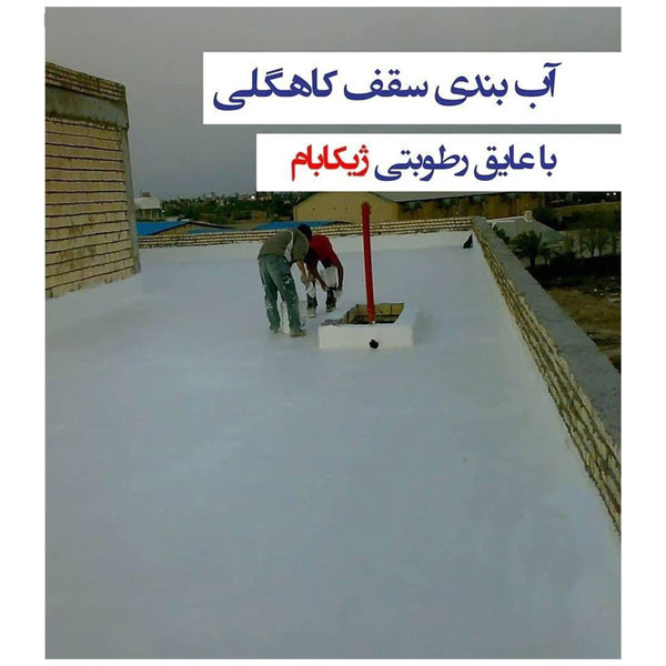 مواد عایق بندی نانو ژیکاوا مدل Zhikabam_AntiBacterial وزن یک کیلوگرم