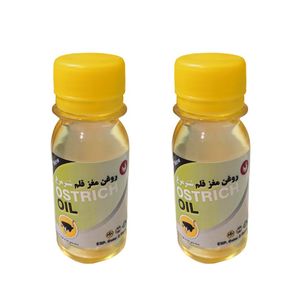 روغن قلم شترمرغ پامکا مدل 001 حجم 60 میلی لیتر مجموعه 2 عددی
