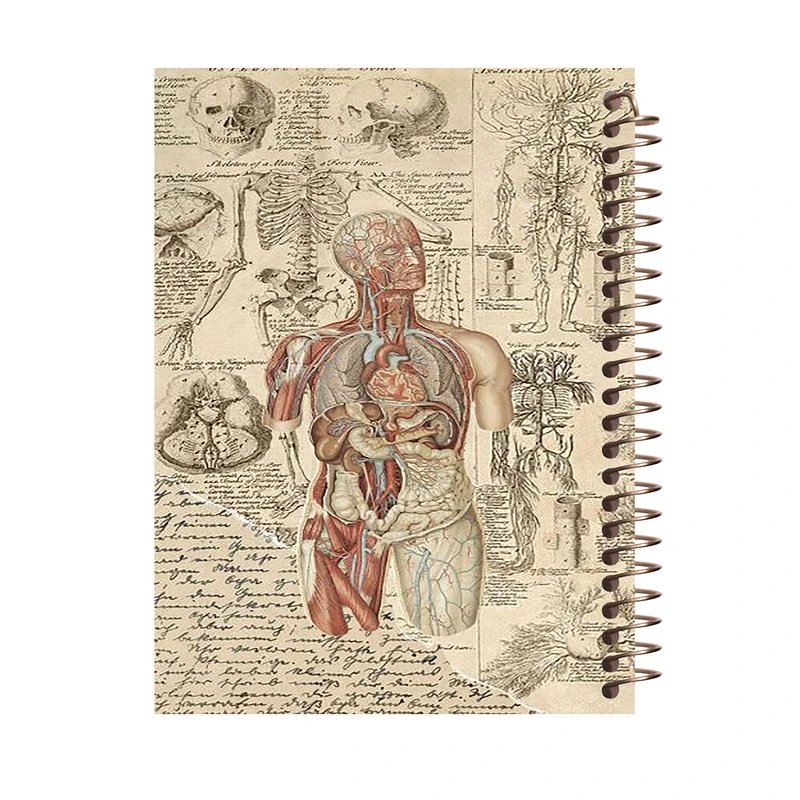 دفتر مشق 80 برگ طرح زیست شناسی مدل آناتومی کد J494