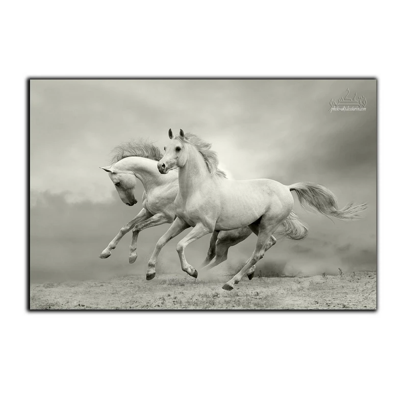 تابلو شاسی بکلیت طرح حیات وحش اسب مدل SH-7522