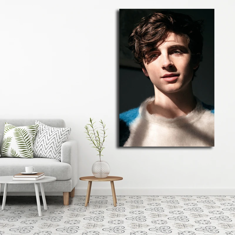 تابلو شاسی مدل Timothee Chalamet کد 3