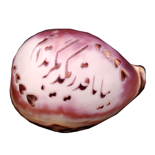 صدف تزئینی مدل HS111